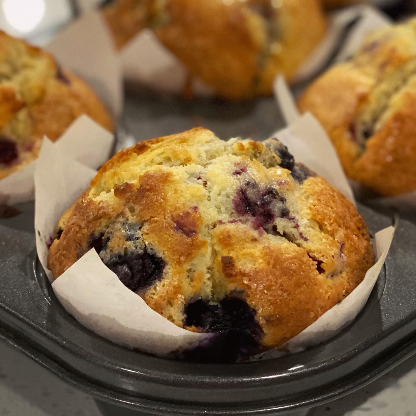 Mixed Berry Muffins